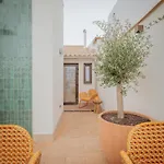 Lirium Casa Patio ゲストハウス