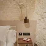 Lirium Casa Patio ゲストハウス 3*